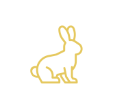 Logo shampoing non-testé sur les animaux