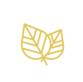 Logo shampoing issus d'ingrédients d'origine naturelle